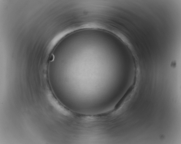 X0000114630854200910201418