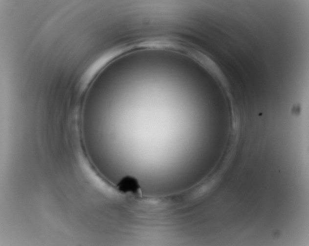 X0000114630855200910201418