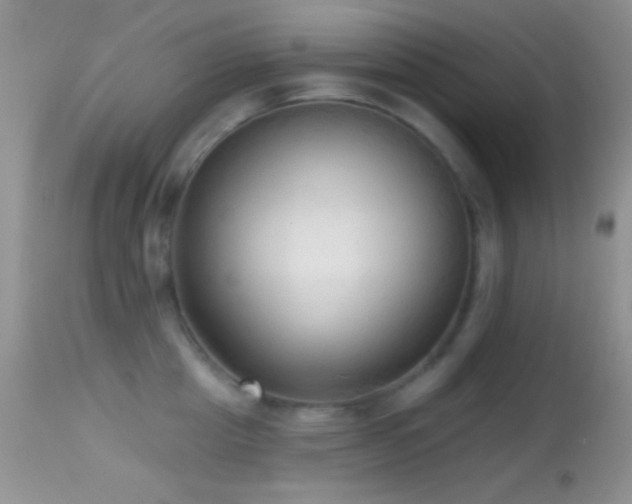 X0000114630857200910201418