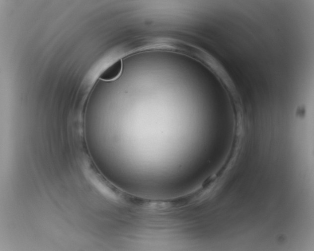 X0000114630858200910201418