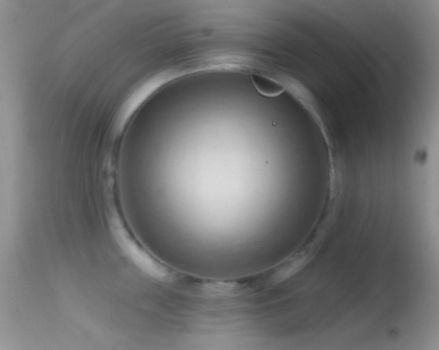 X0000114630859200910201418