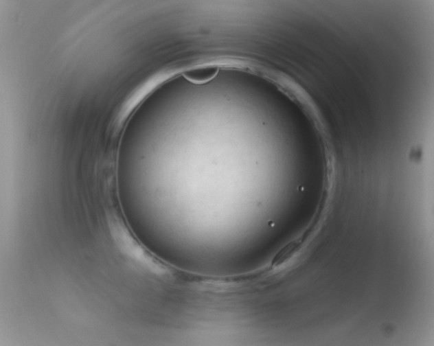 X0000114630860200910201418