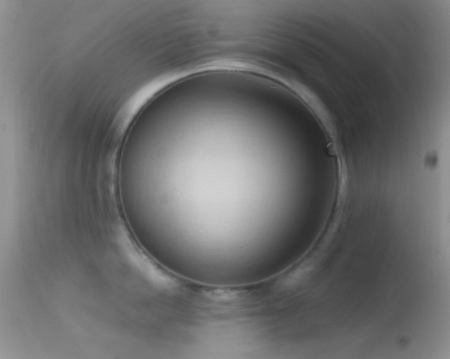 X0000114630862200910201418