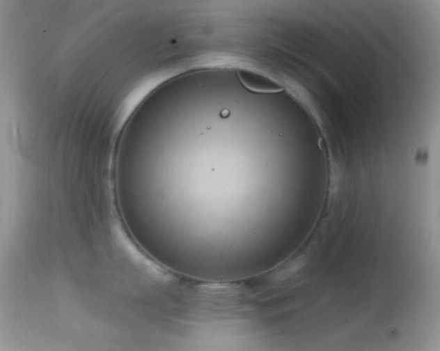 X0000114630863200910201418