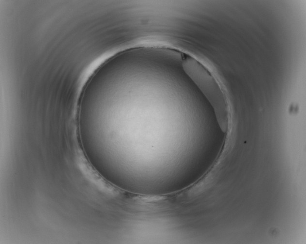 X0000114630864200910201418