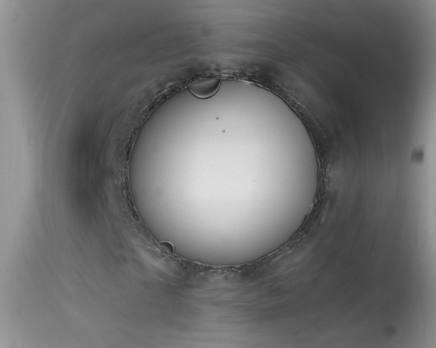 X0000114630865200910201417