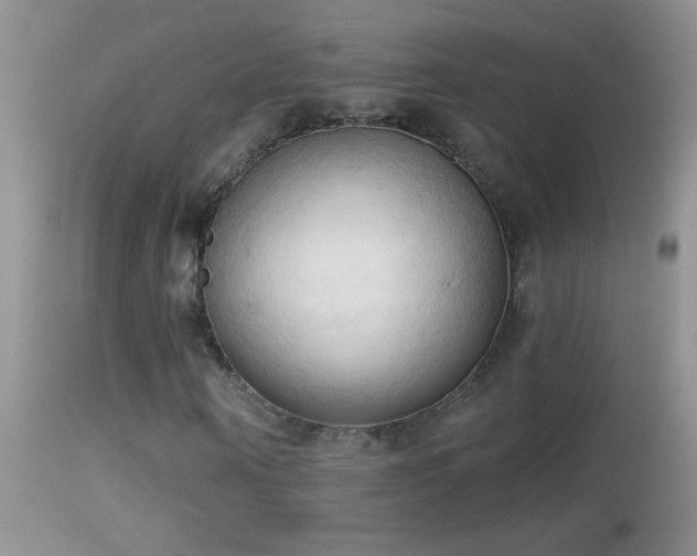 X0000114630866200910201417