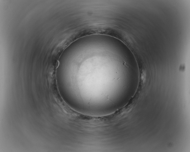 X0000114630867200910201417