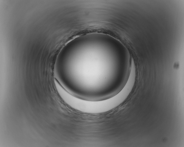 X0000114630868200910201417