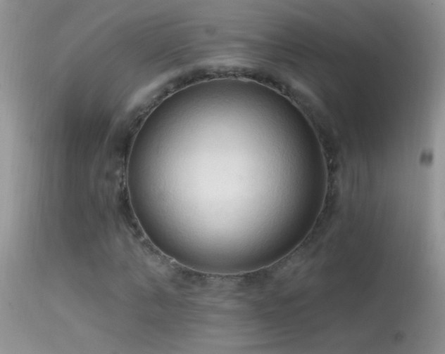 X0000114630870200910201417