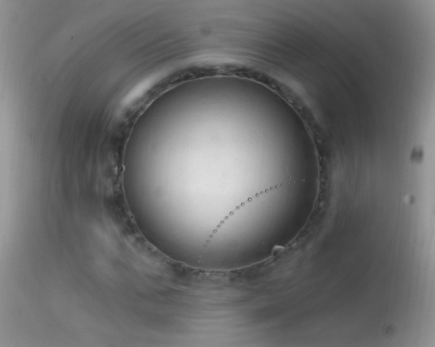 X0000114630871200910201417