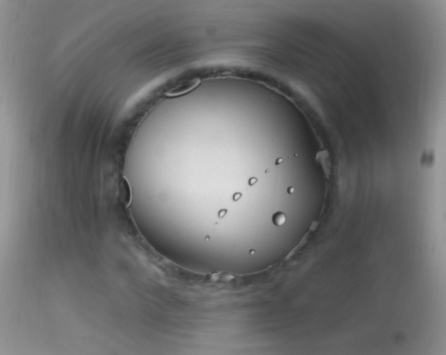 X0000114630872200910201417