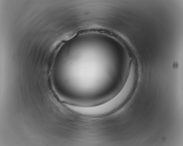 X0000114630873200910201417