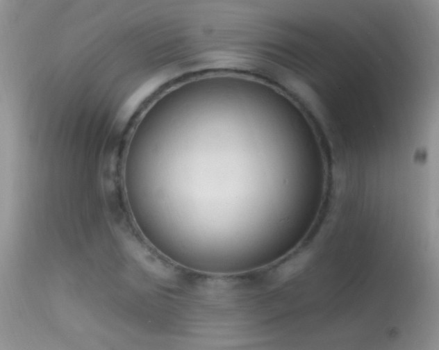 X0000114630875200910201417