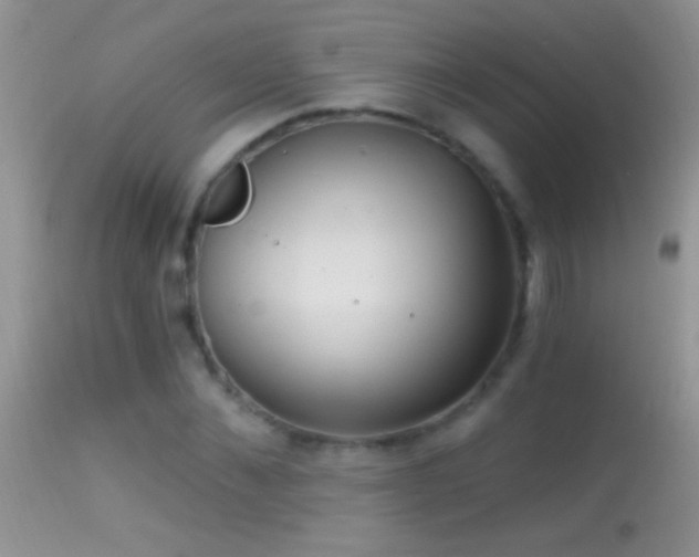 X0000114630876200910201417