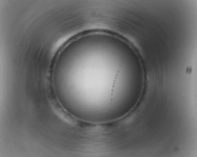 X0000114630879200910201417