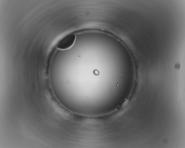 X0000114630880200910201417