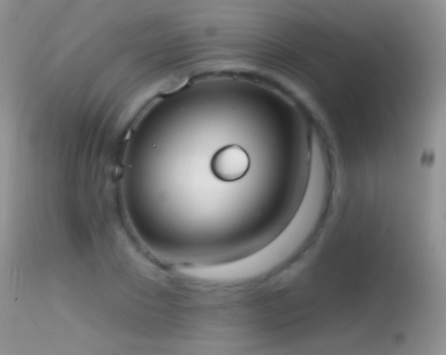 X0000114630881200910201417