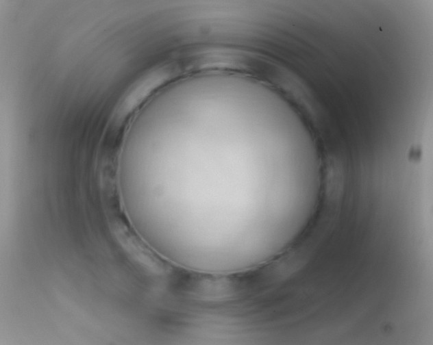 X0000114630882200910201417