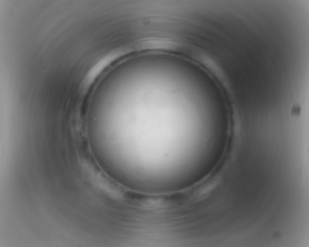 X0000114630883200910201417