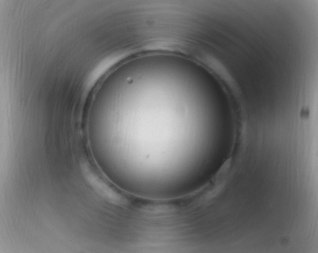 X0000114630884200910201417