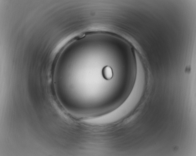 X0000114630885200910201417