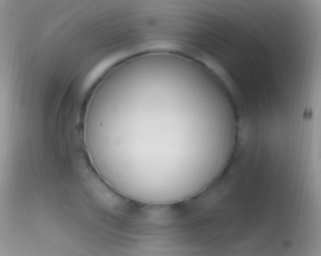 X0000114630886200910201417