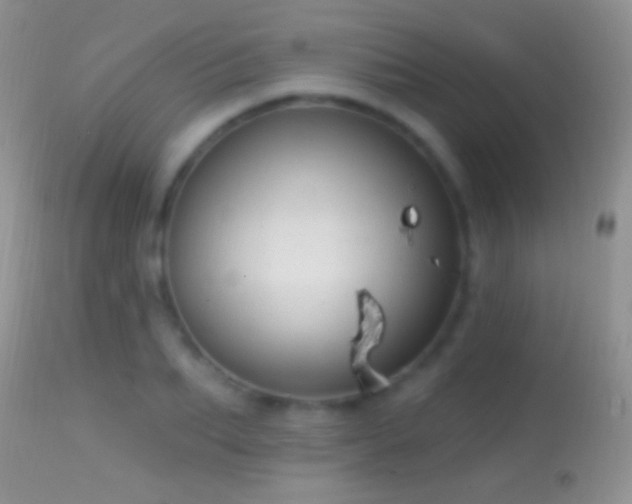 X0000114630887200910201417