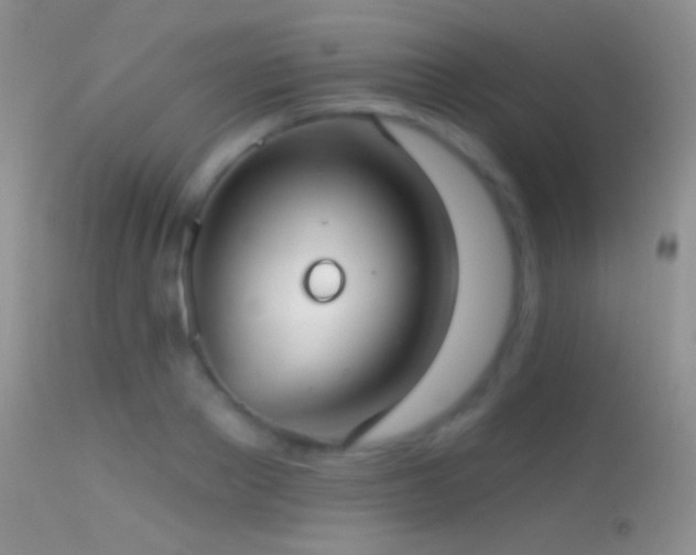 X0000114630889200910201417