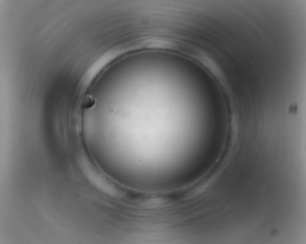 X0000114630891200910201417