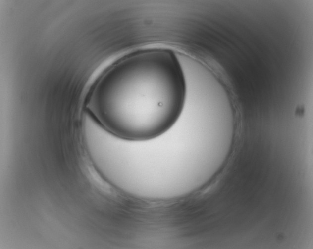 X0000114630892200910201417