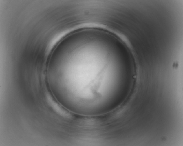 X0000114630895200910201417