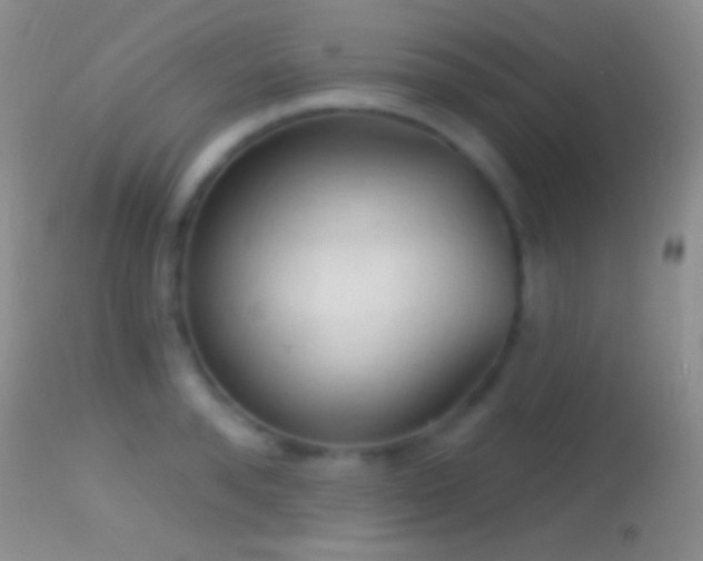 X0000114630896200910201417