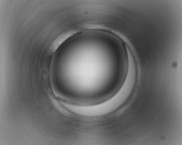 X0000114630897200910201417