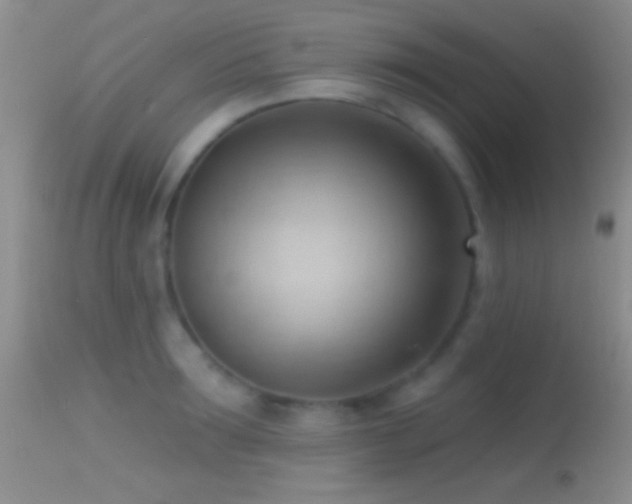 X0000114630899200910201417