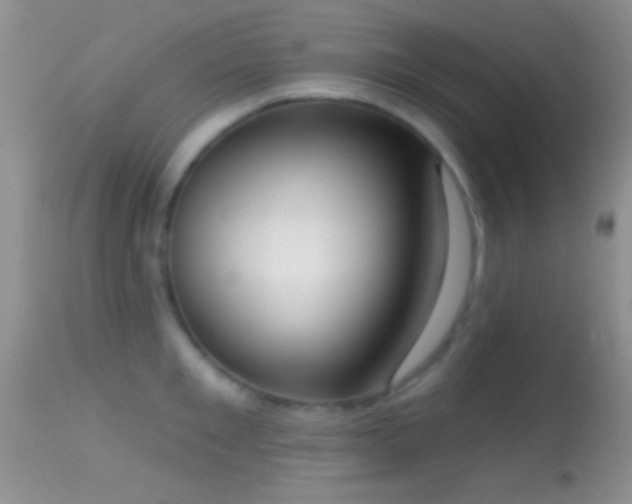 X0000114630901200910201417