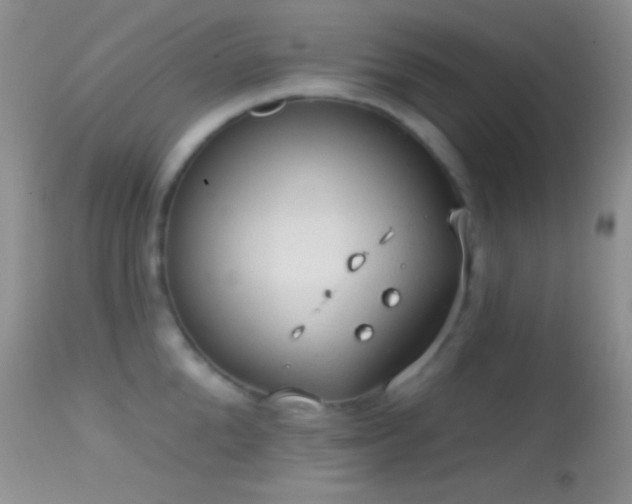 X0000114630904200910201417