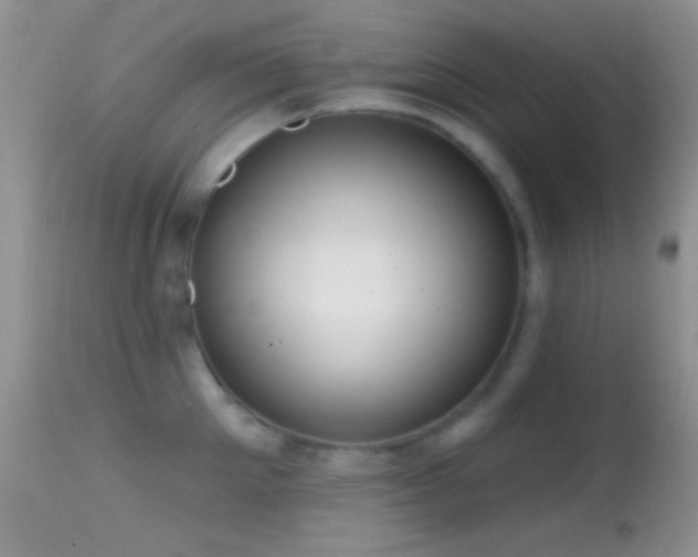 X0000114630905200910201417