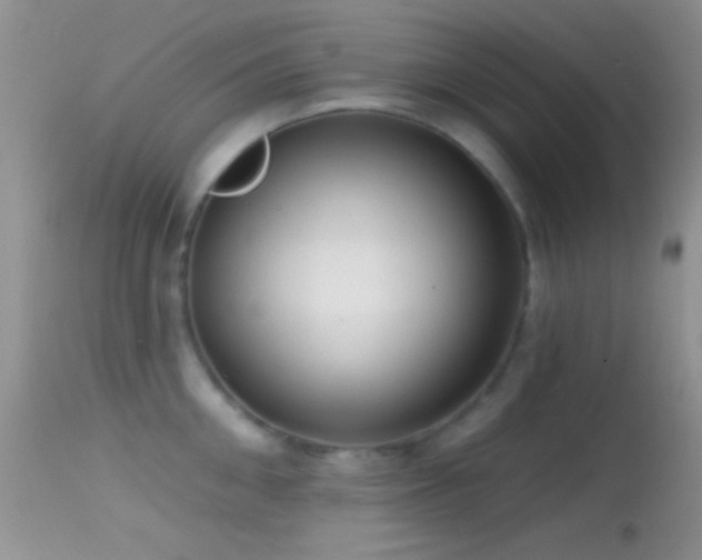 X0000114630906200910201417