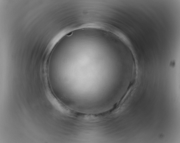 X0000114630907200910201417