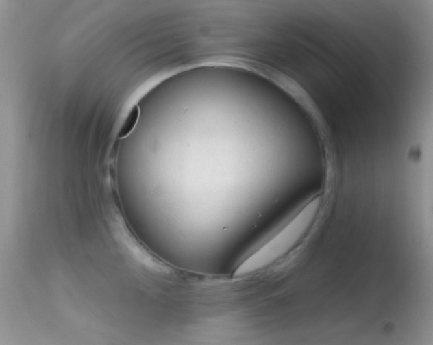 X0000114630908200910201417