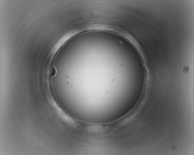 X0000114630909200910201417