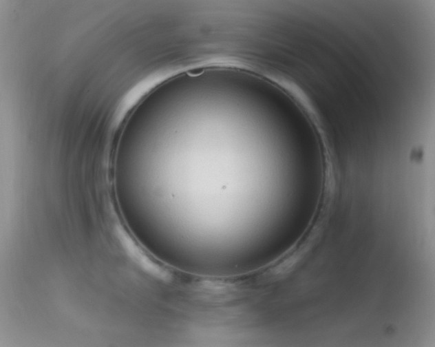 X0000114630910200910201417