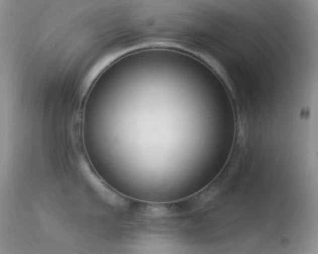 X0000114630911200910201417