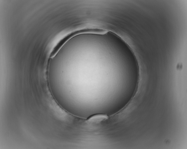 X0000114630912200910201417