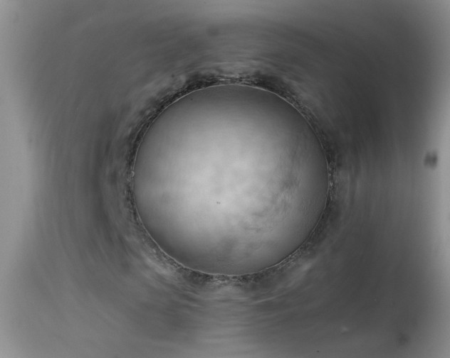 X0000114630913200910201416