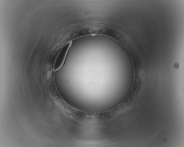 X0000114630914200910201416