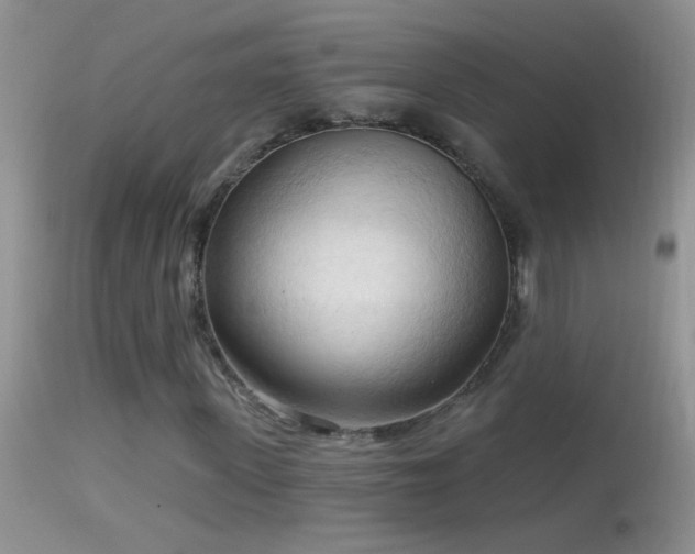 X0000114630915200910201416