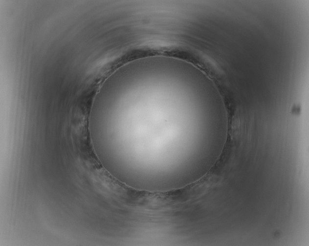 X0000114630917200910201416