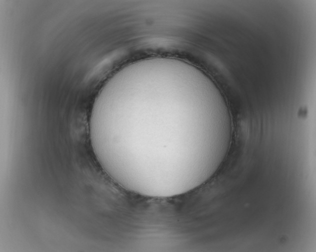 X0000114630918200910201416